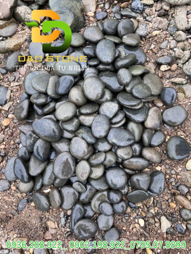 SỎI DẸT TỰ NHIÊN - Ảnh 2