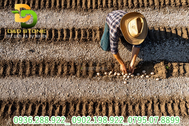 Bot-da-sieu-nhe-trong-nam