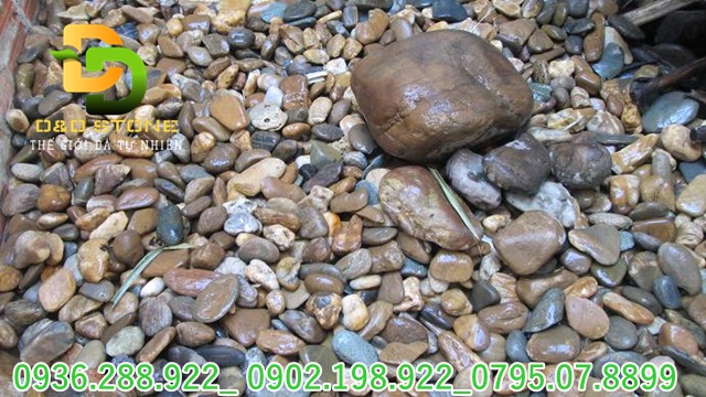 SỎI DẸT TỰ NHIÊN - Ảnh 9