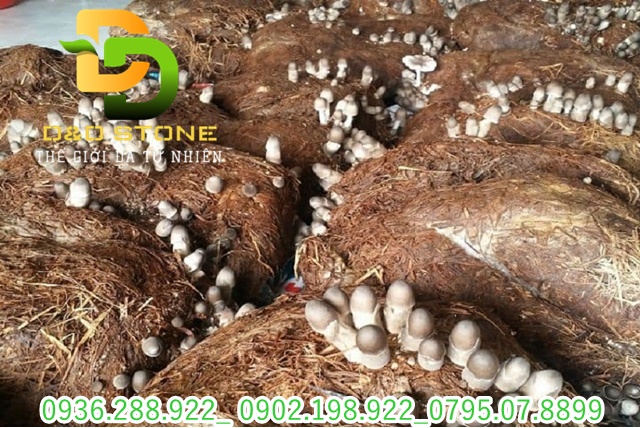 Bot-da-sieu-nhe-trong-nam