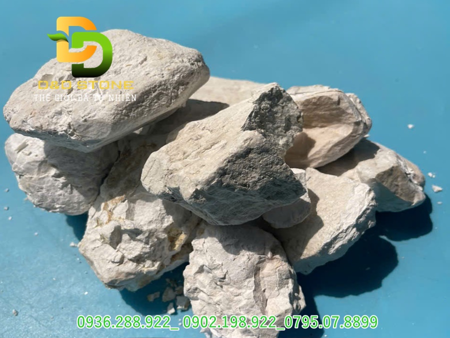 VÔI BỘT CẢI TẠO ĐẤT - Ảnh 6