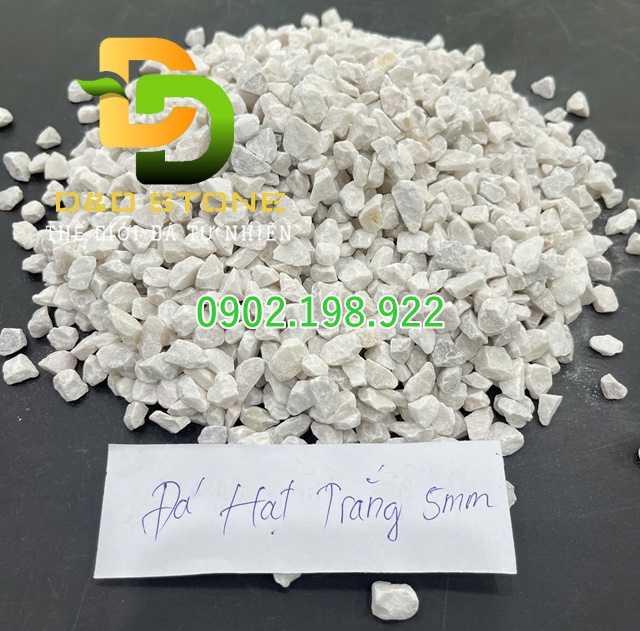 da-hat-trang-caco₃-nguyen-lieu-tinh-khiet-cho-cong-nghiep-va-chan-nuoi-hien-dai