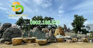 da-tu-nhien-trang-tri-ve-dep-ben-vung-nang-tam-khong-gian-song-hien-dai