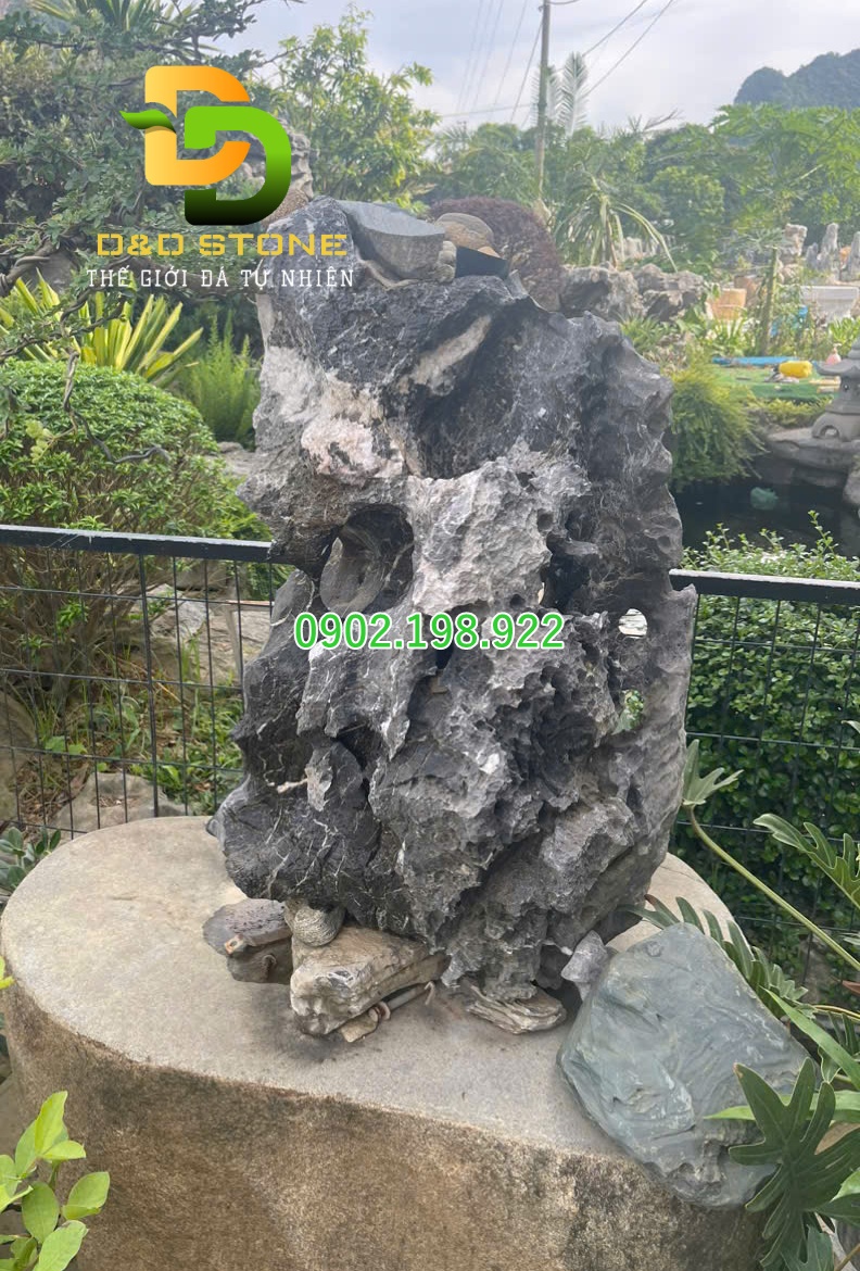 da-tu-nhien-trang-tri-ve-dep-ben-vung-nang-tam-khong-gian-song-hien-dai