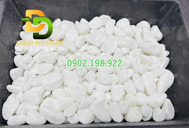 soi-trang-tri-san-vuon-bien-goc-nho-thanh-khong-gian-chill