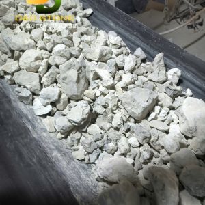 voi-trong-xu-ly-moi-truong-sau-ngap-lut-giai-phap-phuc-hoi-nhanh-an-toan-va-hieu-qua-cho-dat-va-nuoc