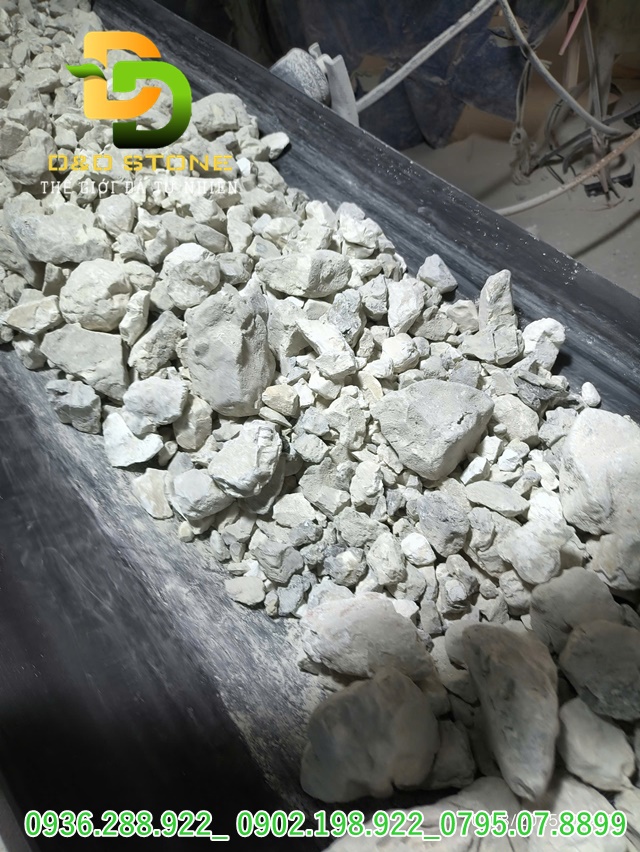 voi-trong-xu-ly-moi-truong-sau-ngap-lut-giai-phap-phuc-hoi-nhanh-an-toan-va-hieu-qua-cho-dat-va-nuoc