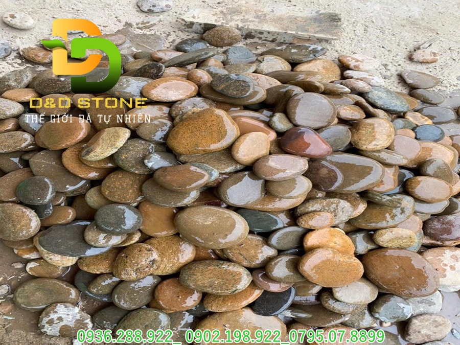 SỎI DẸT TỰ NHIÊN