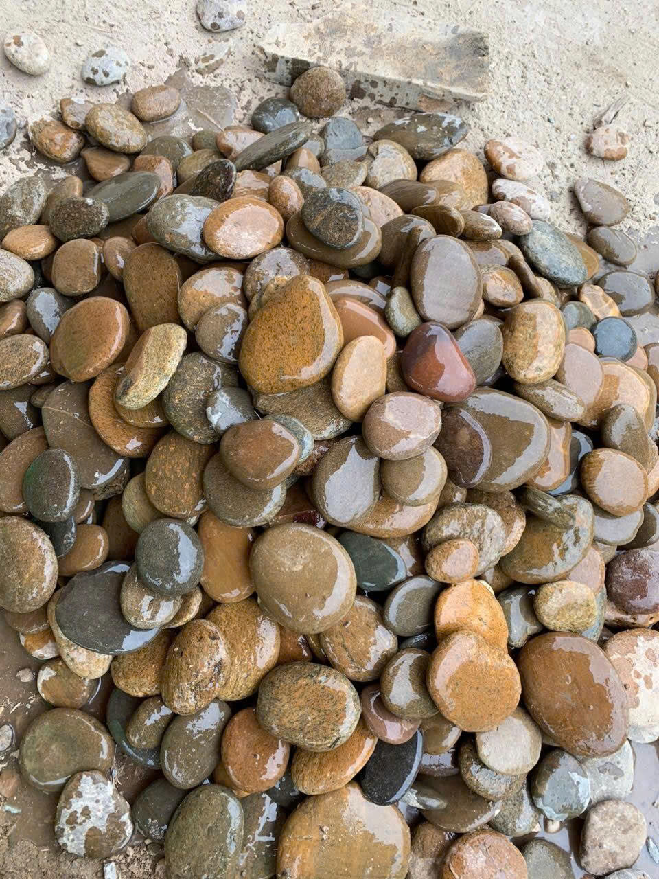 SỎI DẸT TỰ NHIÊN - Ảnh 6