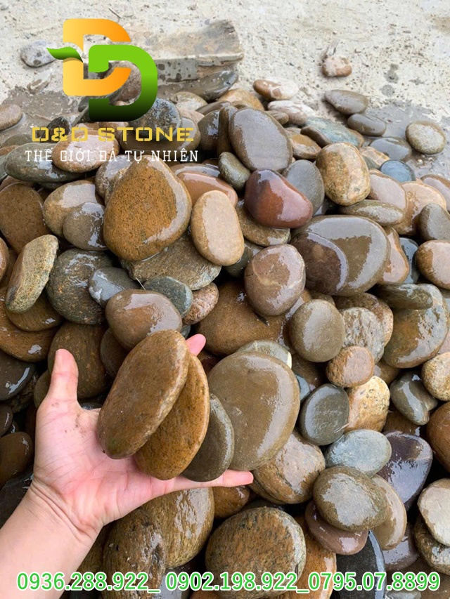 SỎI DẸT TỰ NHIÊN - Ảnh 5