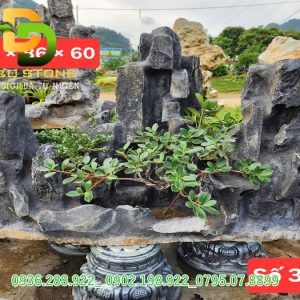 da-non-bo-tieu-canh-tu-nhien