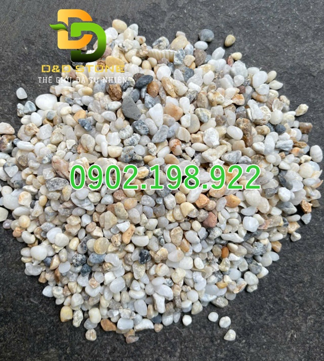 soi-bien-net-cham-pha-tu-nhien-cho-canh-quan-va-tieu-canh-san-vuon