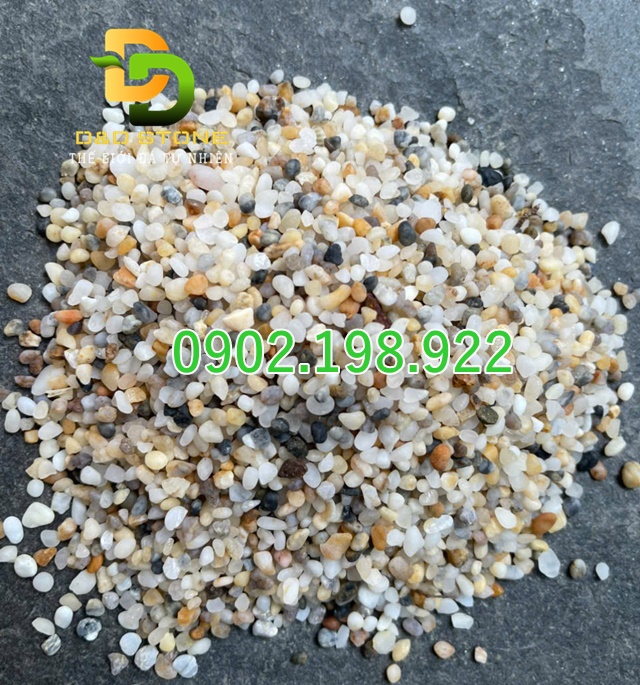 soi-bien-net-cham-pha-tu-nhien-cho-canh-quan-va-tieu-canh-san-vuon