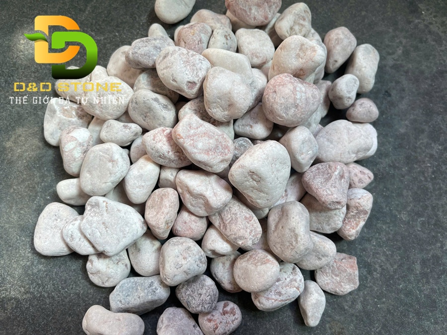 SỎI HỒNG QUAY - Ảnh 2