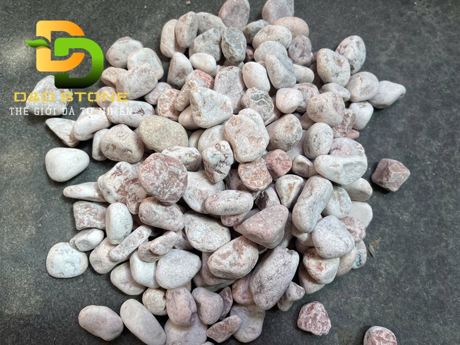 SỎI HỒNG QUAY - Ảnh 3