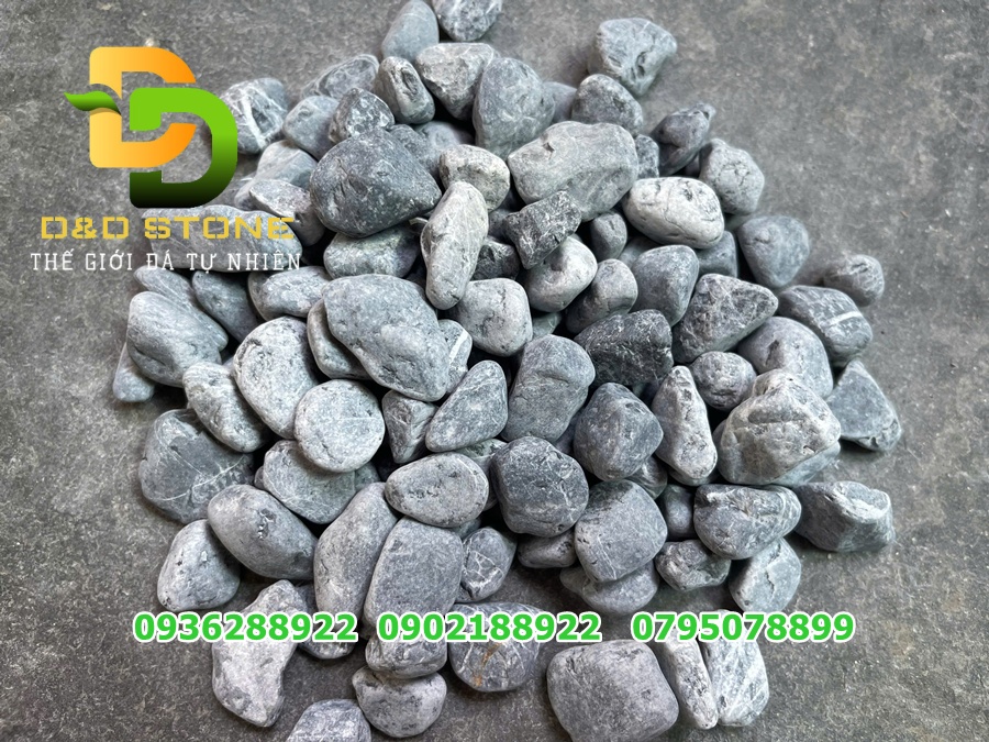 SỎI ĐEN QUAY - Ảnh 4