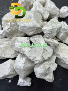 voi-trong-xu-ly-moi-truong-sau-ngap-lut-giai-phap-phuc-hoi-nhanh-an-toan-va-hieu-qua-cho-dat-va-nuoc