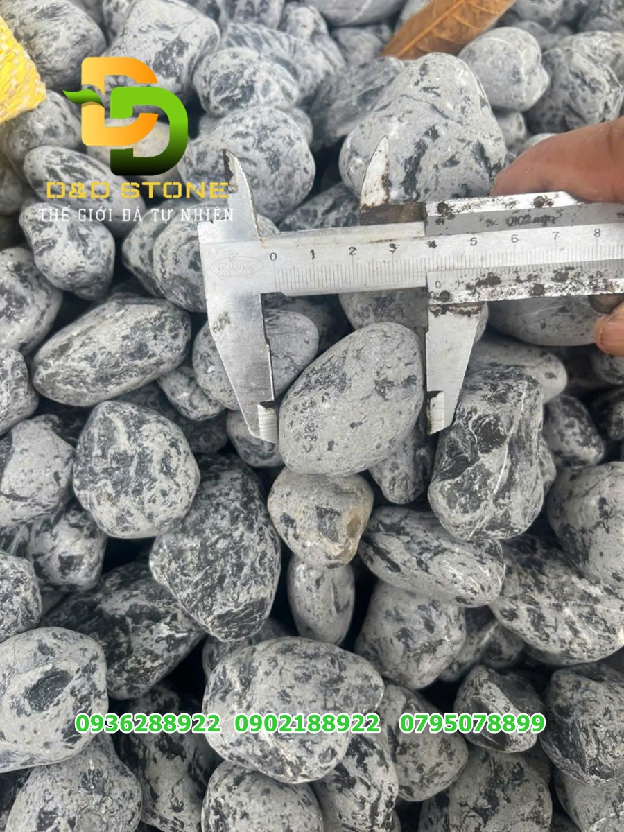 SỎI ĐEN QUAY - Ảnh 6