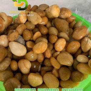 soi-vang-tu-nhien-trang-tri