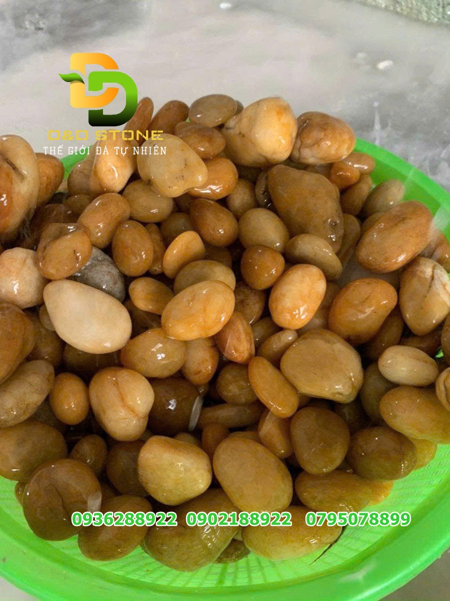 soi-vang-tu-nhien-trang-tri