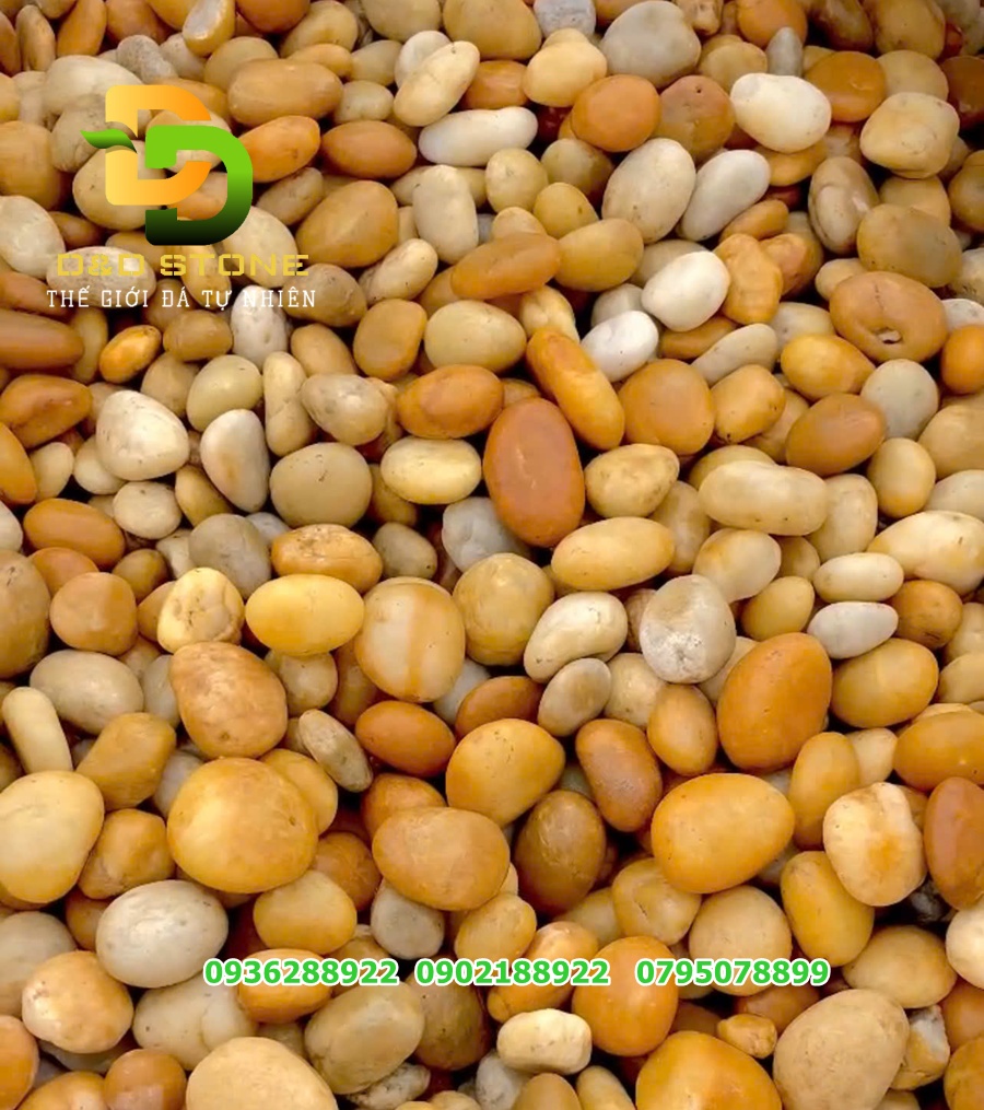 SỎI VÀNG TỰ NHIÊN - Ảnh 2