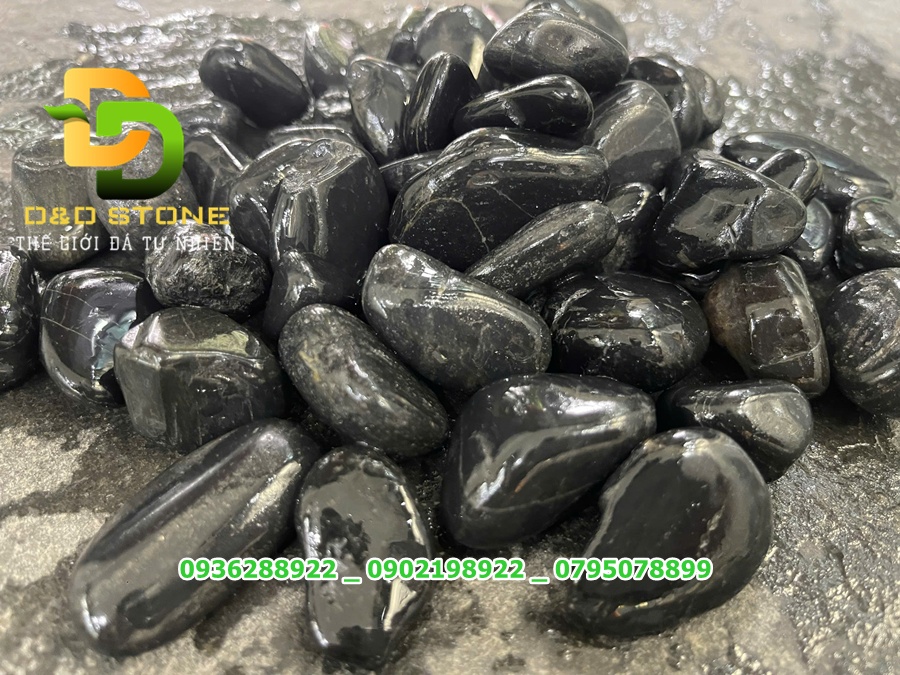 Sỏi đen bóng - Ảnh 2
