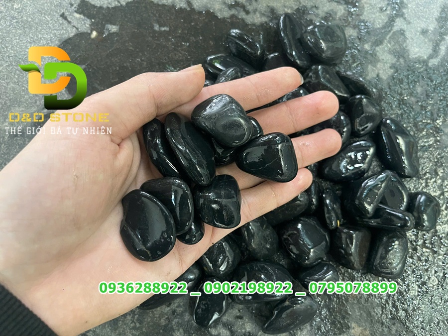 Sỏi đen bóng - Ảnh 3
