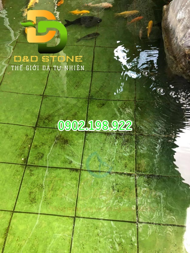 ao-co-nhieu-rong-reu