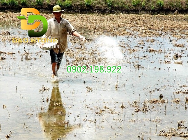 rai-voi-nhieu-co-lam-chai-dat-khong