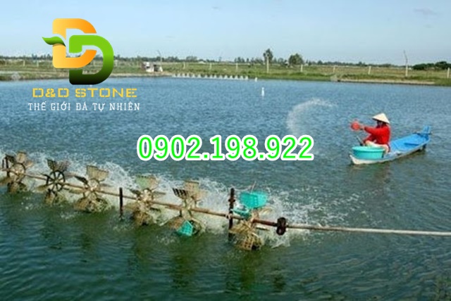 dolomite-co-lam-ca-bi-soc-ph-khong-giai-thich-de-ba-con-yen-tam