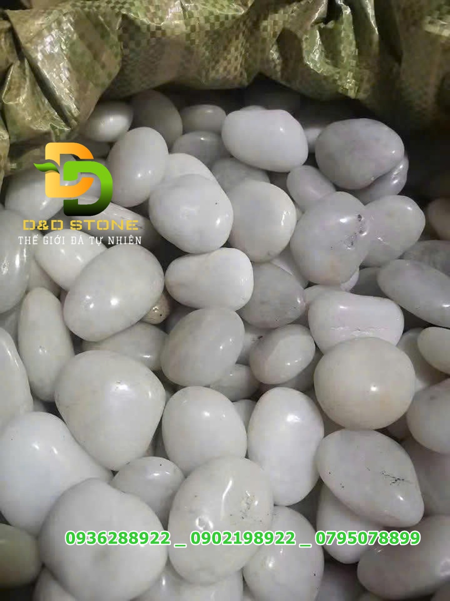 SỎI TRẮNG NHẬP KHẨU - Ảnh 5
