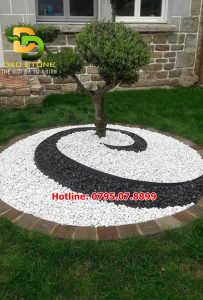 soi-trang-tri-goc-cay