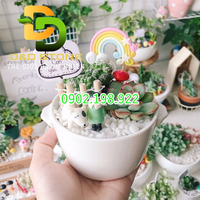 trang-tri-bon-cay-chuan-dep-nen-dung-loai-soi-nao