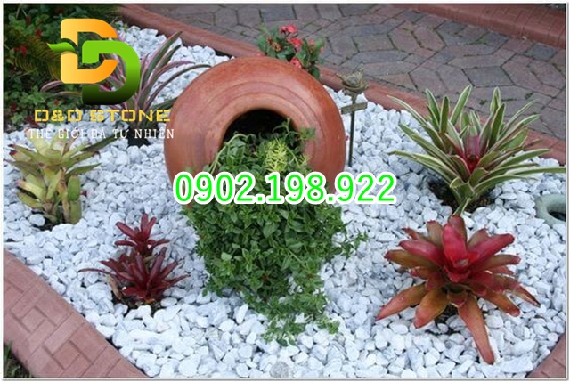 trang-tri-bon-cay-chuan-dep-nen-dung-loai-soi-nao