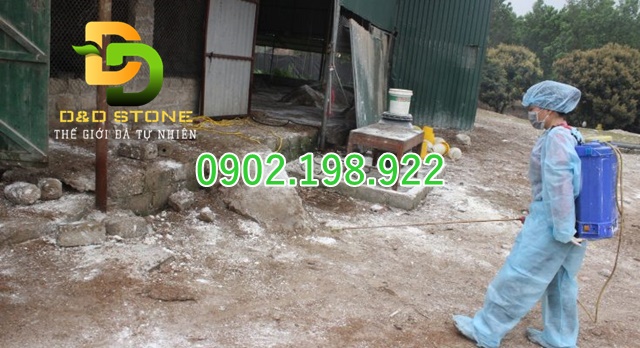 voi-cac-loai-trong-doi-song-va-san-xuat-hieu-dung-de-dung-khong-lang-phi