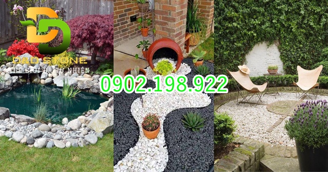 trang-tri-bon-cay-chuan-dep-nen-dung-loai-soi-nao