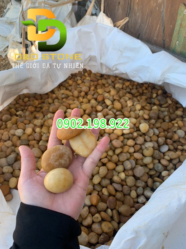 lam-tieu-canh-don-gian-tai-nha-chon-soi-da-the-nao-cho-de-cham