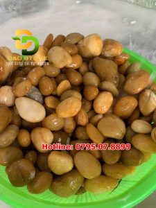 soi-vang-dai-san-vuon