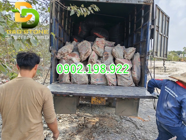 da-roi-da-sac-lai-chau-vat-lieu-trang-tri-moc-mac-ma-cuon-hut