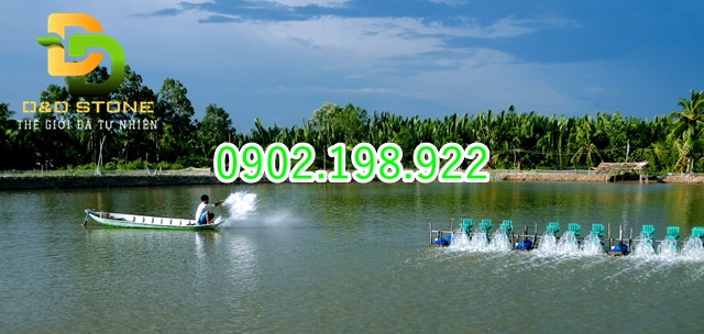 dung-voi-sai-cach-gay-lang-phi-ra-sao-nhung-dieu-nguoi-mua-can-biet