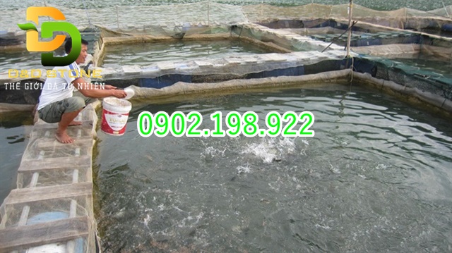 dung-voi-sai-cach-gay-lang-phi-ra-sao-nhung-dieu-nguoi-mua-can-biet