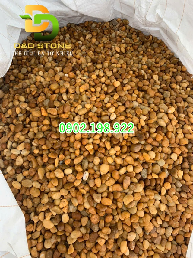 soi-vang-trang-tri-tu-nhien-tao-diem-nhan-cho-khong-gian-san-vuon