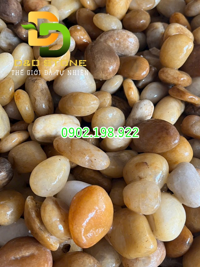 soi-vang-trang-tri-tu-nhien-tao-diem-nhan-cho-khong-gian-san-vuon