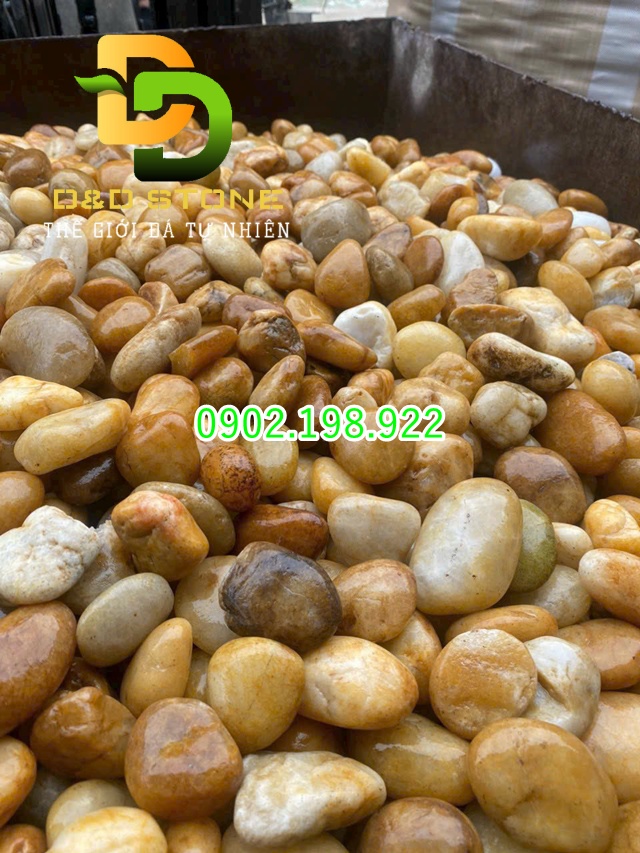 soi-vang-trang-tri-tu-nhien-tao-diem-nhan-cho-khong-gian-san-vuon