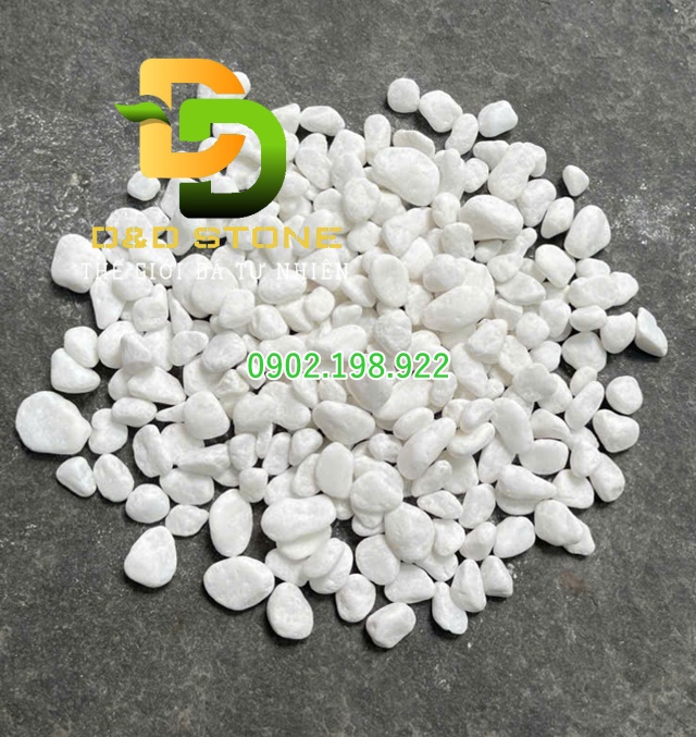 soi-trang-muoi-trong-trang-tri-tet