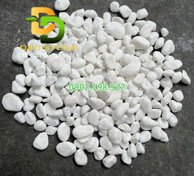 soi-trang-muoi-trong-trang-tri-tet