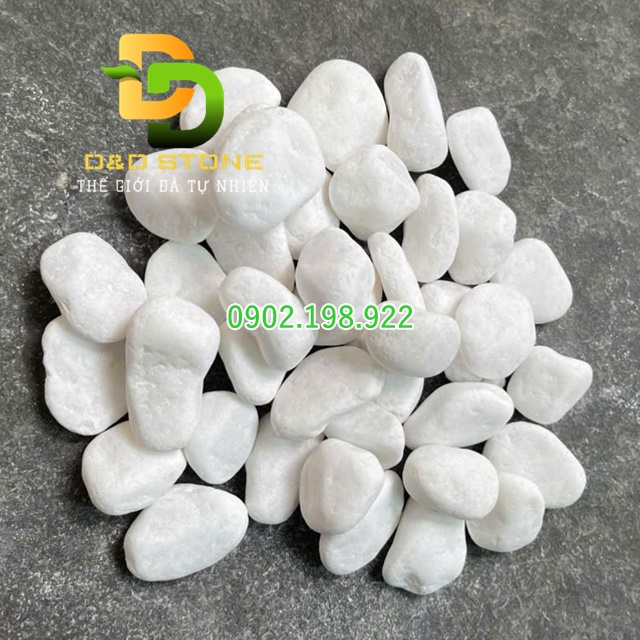 soi-trang-muoi-trong-trang-tri-tet