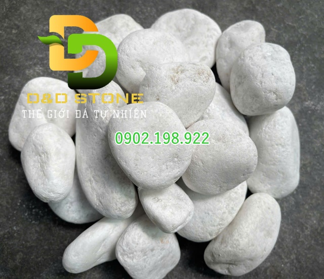 soi-trang-muoi-trong-trang-tri-tet