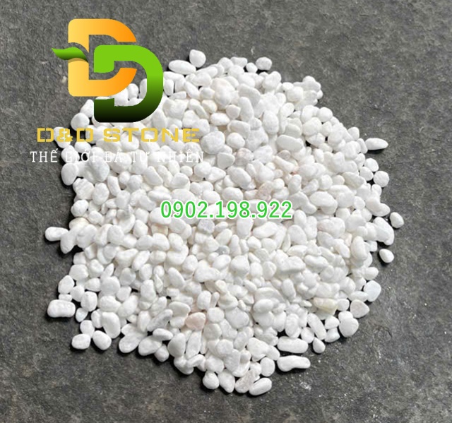 soi-trang-muoi-trong-trang-tri-tet