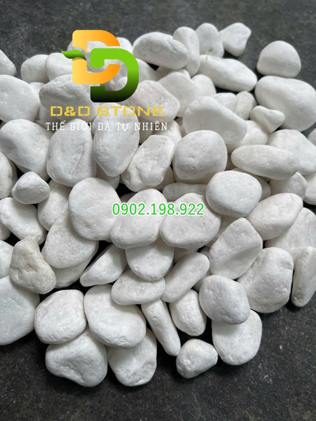 soi-trang-muoi-trong-trang-tri-tet